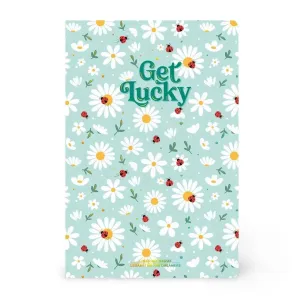 LEGAMI LIBRETA CUADERNO A RAYAS A5 LADYBUG MARIQUITA VERDE