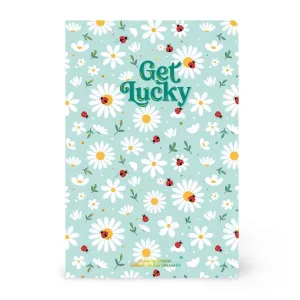 LEGAMI LIBRETA CUADERNO A5 LISO LADYBUG MARIQUITA VERDE